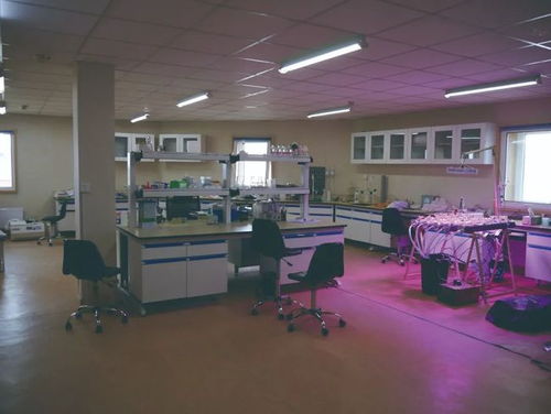 走進南極長城站，探索“惟物實驗室”的科學奧秘