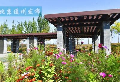 面積超400畝！通州又添休閑新地標(biāo)，城市綠肺開(kāi)門迎客