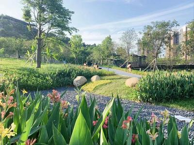 集生態(tài)種植、科普體驗(yàn)、觀光游樂于一體 西麗生態(tài)公園打造兒童友好游學(xué)新路徑