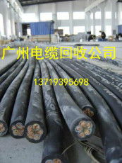 綠色廣州，同盈與您共創循環未來
